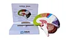 Brain model with artery